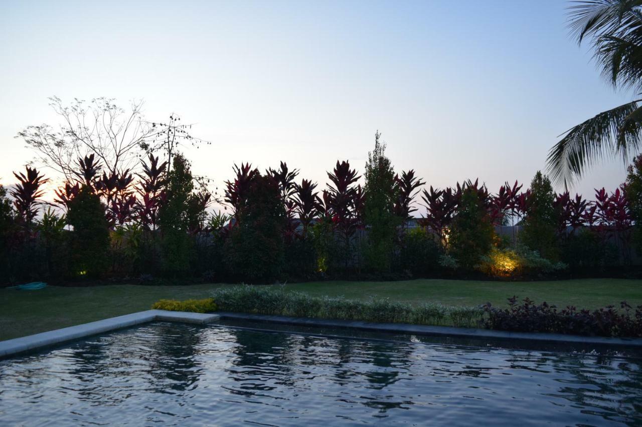 Villa Putih ロヴィーナ エクステリア 写真